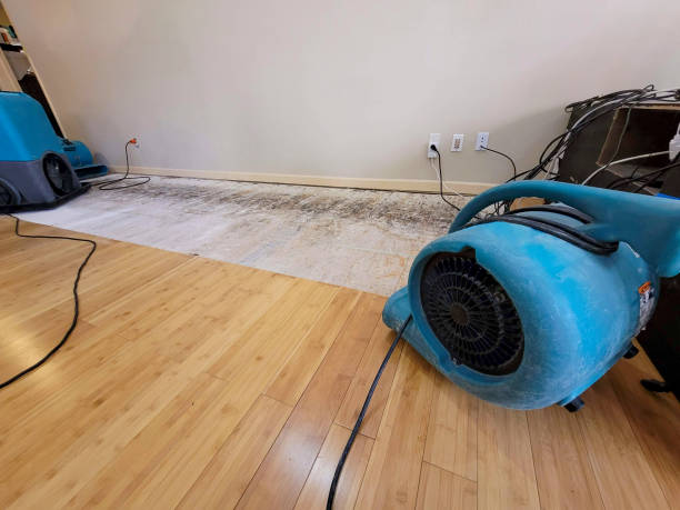 Professional Burst Pipe Water Damage technician working in New Boston, OH